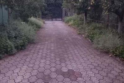 Casă cu Teren 1000 Mp în Dâmbu Pietros - 5