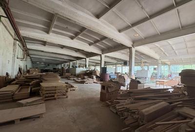 Spațiu comercial, de 5,540 mp, în Primăverii - 14