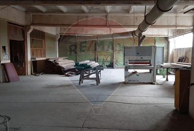 Spațiu industrial, de 6,045 mp, în Mihai Bravu - 9