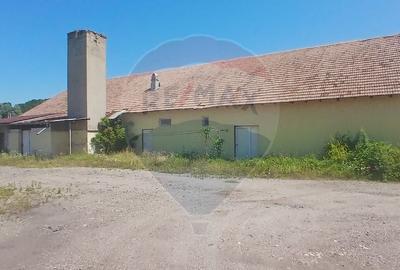 Spatiu comercial central Valea Lunga-Cricov de vanzare 2300 mp teren - 4