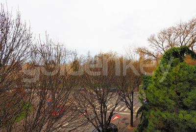 Vedere parc | Apartament spatios cu 4 camere, 3 bai | 240mpc - 21