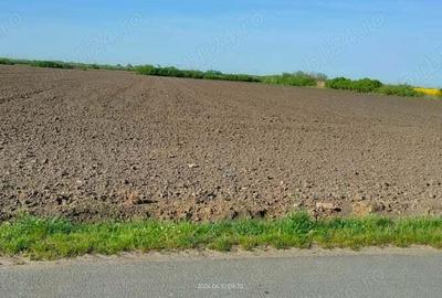 Teren industrial Cerneteaz de vanzare - 2