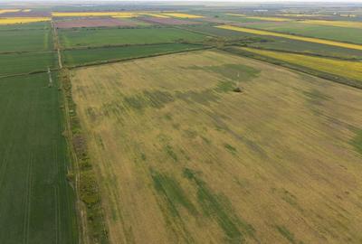 Teren agricol extravilan de 44700 mp, în Exterior Vest - 14