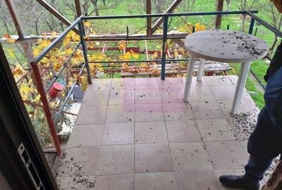 BARCANESTI -  casa +curte+teren 16k mp - 21