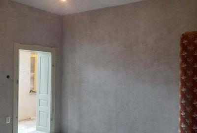 Casa Simeria 8 km de Deva,jud Hunedoara zona buna si linistita langa parcul dentrologic - 7