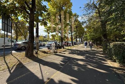 Apartament 1 camera, parter, zona Vivo Mall - 3