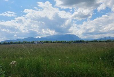 Rasnov -Glejarie 1000 mp front 42m posibilitate duplex sau 2 constructii - 9