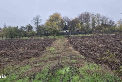 Casă cu 2 camere cu Teren 3052 Mp în Uliești - 13