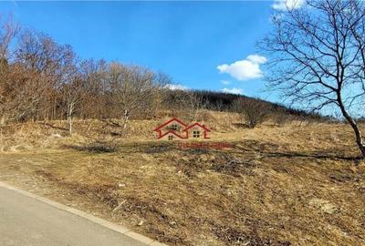 Teren intravilan,cartier Gusterita,Sibiu,comision 0 - 1