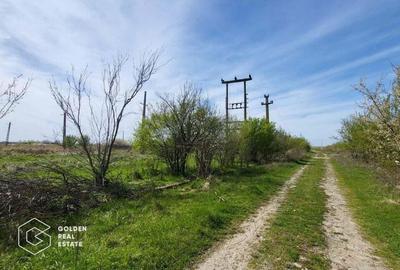 Teren extravilan, 22.5 ha, comuna Maureni - 3