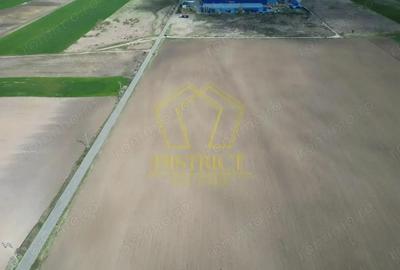 Teren de 50000 mp, în Parța - 2