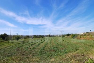 Teren extravilan, cu CF, 2963 mp, in Mihai Viteazu - 3