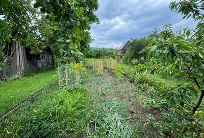 De vanzare vila familiala-tot confortul in Frasin-reducere de pret!!! - 25