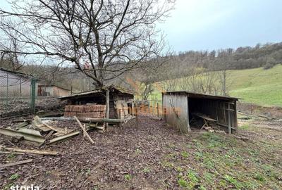 Casă cu 4 camere cu Teren 2846 Mp în Aștileu - 4