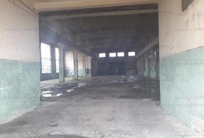 Spațiu comercial, de 6,602 mp, în Cermei - 2