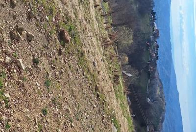Teren de 700 mp, în Petros - 2