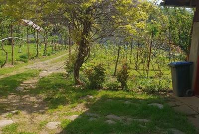 Casă cu 6 camere cu Teren 2559 Mp în Peștișani - 9