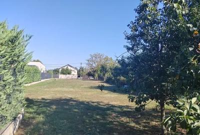 Teren 975mp Corbeanca Zona Centrala I Toate utilitatile - 2
