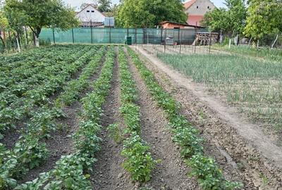 Casă cu 4 camere în Diniaș - 6