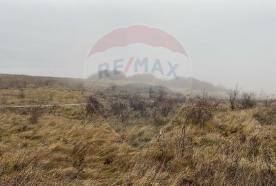 Teren agricol extravilan de 544 mp, în Pădureni (Chinteni) - 3