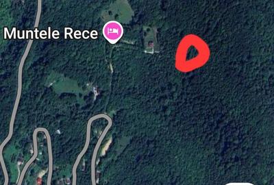 Teren de 900 mp, în Gilău