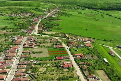 RECO . TEREN INTRAVILAN BETFIA - 8