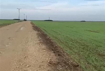 RECO teren extravilan Les , putin peste 2 /mp - 2