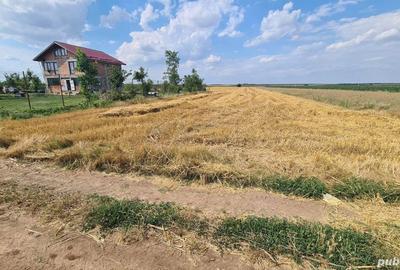 Teren de 5500 mp, în Brăniștari