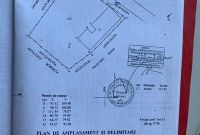 Spațiu comercial, de 300 mp, în Braloștița - 1
