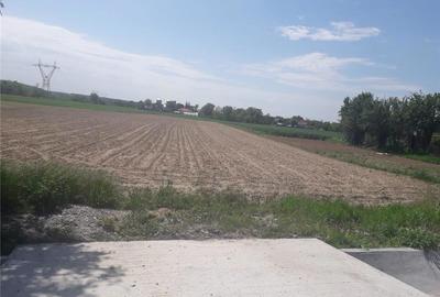 Teren de 5013 mp, în Galicea - 2