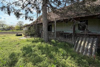 Casă cu Teren 1400 Mp în Dorobanți