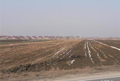 Teren de 5000 mp, în Stupini - 4