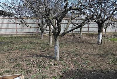 Casă cu Teren 429 Mp în Ștefăneștii de Sus