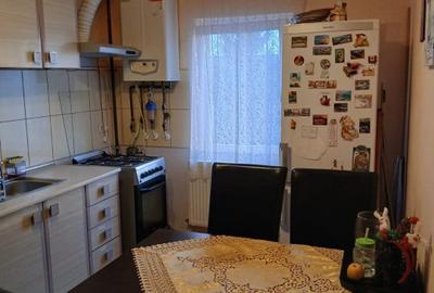 Apartament cu 2 camere, mobilat în Circumvalațiunii - 4