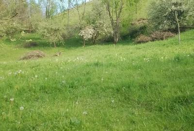 Spațiu comercial, în Vidra - 7