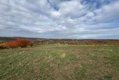 Teren intravilan de 3649 mp, în Dealuri Oradea - 2