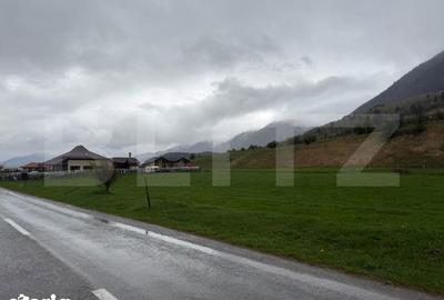 Teren de 1240 mp, în Plaiul Foii - 5