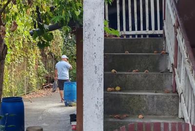 Vand casa cu etaj in localitatea Lapu?nic - 4