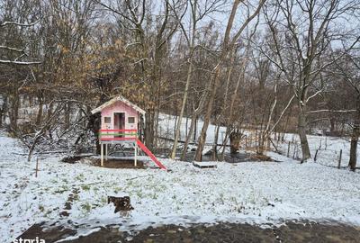 Spațiu comercial, în Scorțeni - 9