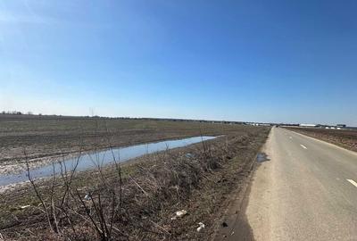 Spațiu comercial, în Creața - 2