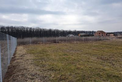 TEREN CONSTRUCTII-INTRAVILLAN-SUPERB-SNAGOV-PADURE-UTILITATI-PROIECT - 9