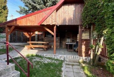 Cabana cu 4 dormitoare, foisor, ciubar, Statiunea Muntele Ba - 21