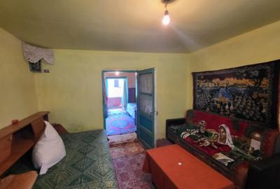 Casa cu teren generos in zona ARCADIA - 7