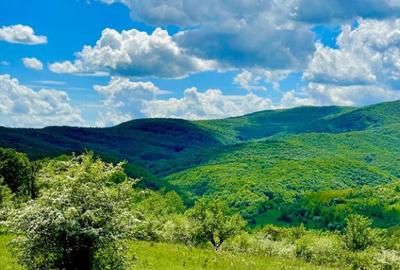 Terenuri extravilane Cozieni, jud. Buzau 70000mp - 3