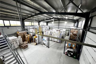 Hala industriala cu platforma betonata, in Paulestii Noi, a - 1