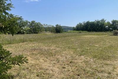 Spațiu comercial, în Budacu de Jos - 8