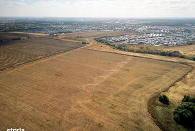 Teren de 16500 mp, în Tunari - 15