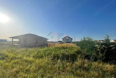 TEREN | 550MP | SANMARTIN - 4