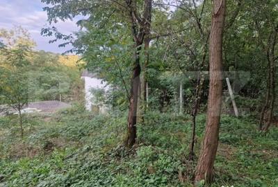 Teren de 79000 mp, în Central - 11