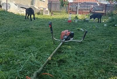 Casă cu Teren 1359 Mp în Lipănești - 5